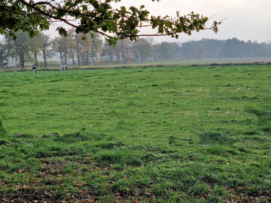 Gemuetliche Wohnung Direkt Am Kuestenkanal! Wardenburg Ngoại thất bức ảnh